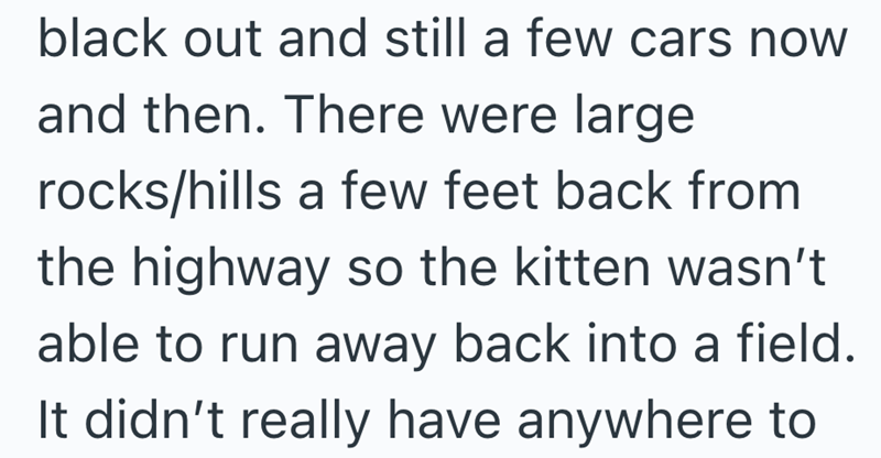 black out and still a few cars now and then. There were large rocks/hills a few feet back from the highway so the kitten wasn't able to run away back into a field. It didn't really have anywhere to