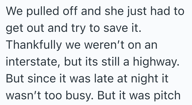 We pulled off and she just had to get out and try to save it. Thankfully we weren't on an interstate, but its still a highway. But since it was late at night it wasn't too busy. But it was pitch