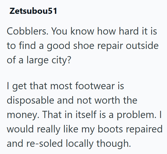 Zetsubou51 Cobblers. You know how hard it is to find a good shoe repair outside of a large city? I get that most footwear is disposable and not worth the money. That in itself is a problem. I would really like my boots repaired and re-soled locally though.