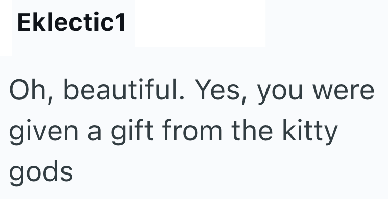 Eklectic1 Oh, beautiful. Yes, you were given a gift from the kitty gods