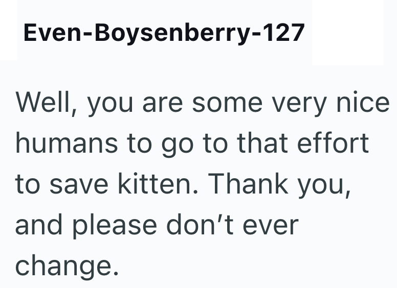 Even-Boysenberry-127 Well, you are some very nice humans to go to that effort to save kitten. Thank you, and please don't ever change.