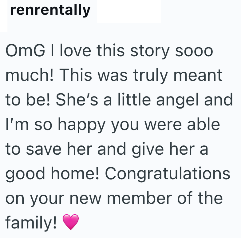renrentally OMG I love this story soo0 much! This was truly meant to be! She's a little angel and I'm so happy you were able to save her and give her a good home! Congratulations on your new member of the family!