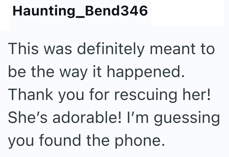 Haunting_Bend346 This was definitely meant to be the way it happened. Thank you for rescuing her! She's adorable! I'm guessing you found the phone.