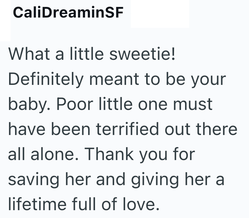 CaliDreaminSF What a little sweetie! Definitely meant to be your baby. Poor little one must have been terrified out there all alone. Thank you for saving her and giving her a lifetime full of love.