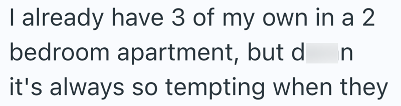 I already have 3 of my own in a 2 bedroom apartment, but d n it's always so tempting when they