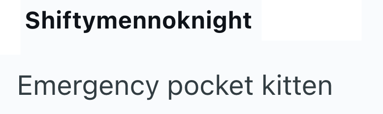 Shiftymennoknight Emergency pocket kitten