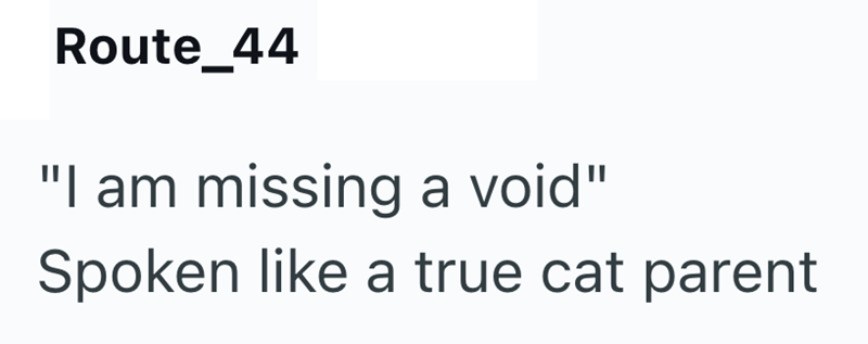 Route_44 "I am missing a void" Spoken like a true cat parent