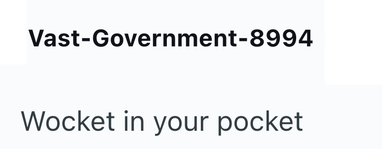 Vast-Government-8994 Wocket in your pocket
