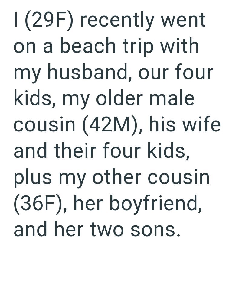 I (29F) recently went on a beach trip with my husband, our four kids, my older male cousin (42M), his wife and their four kids, plus my other cousin (36F), her boyfriend, and her two sons.