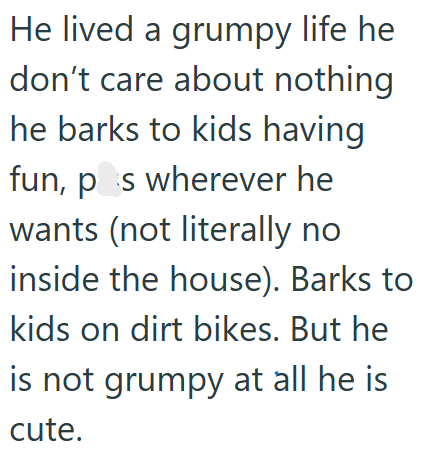 He lived a grumpy life he don't care about nothing he barks to kids having fun, ps wherever he wants (not literally no inside the house). Barks to kids on dirt bikes. But he is not grumpy at all he is cute.