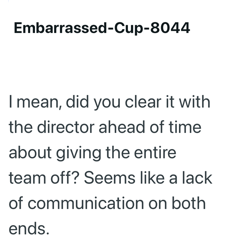 Embarrassed-Cup-8044 I mean, did you clear it with the director ahead of time about giving the entire team off? Seems like a lack of communication on both ends.