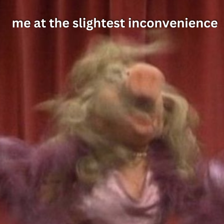 me at the slightest inconvenience