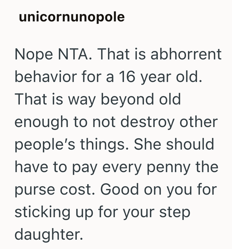 unicornunopole Nope NTA. That is abhorrent behavior for a 16 year old. That is way beyond old enough to not destroy other people's things. She should have to pay every penny the purse cost. Good on you for sticking up for your step daughter.