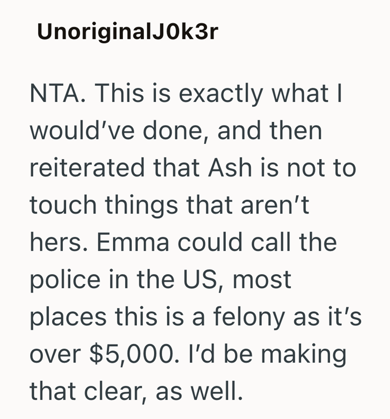 UnoriginalJOk3r NTA. This is exactly what I would've done, and then reiterated that Ash is not to touch things that aren't hers. Emma could call the police in the US, most places this is a felony as it's over $5,000. I'd be making that clear, as well.