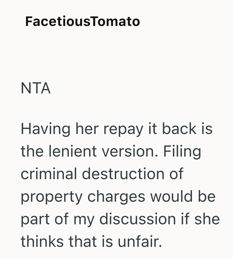 FacetiousTomato NTA Having her repay it back is the lenient version. Filing criminal destruction of property charges would be part of my discussion if she thinks that is unfair.