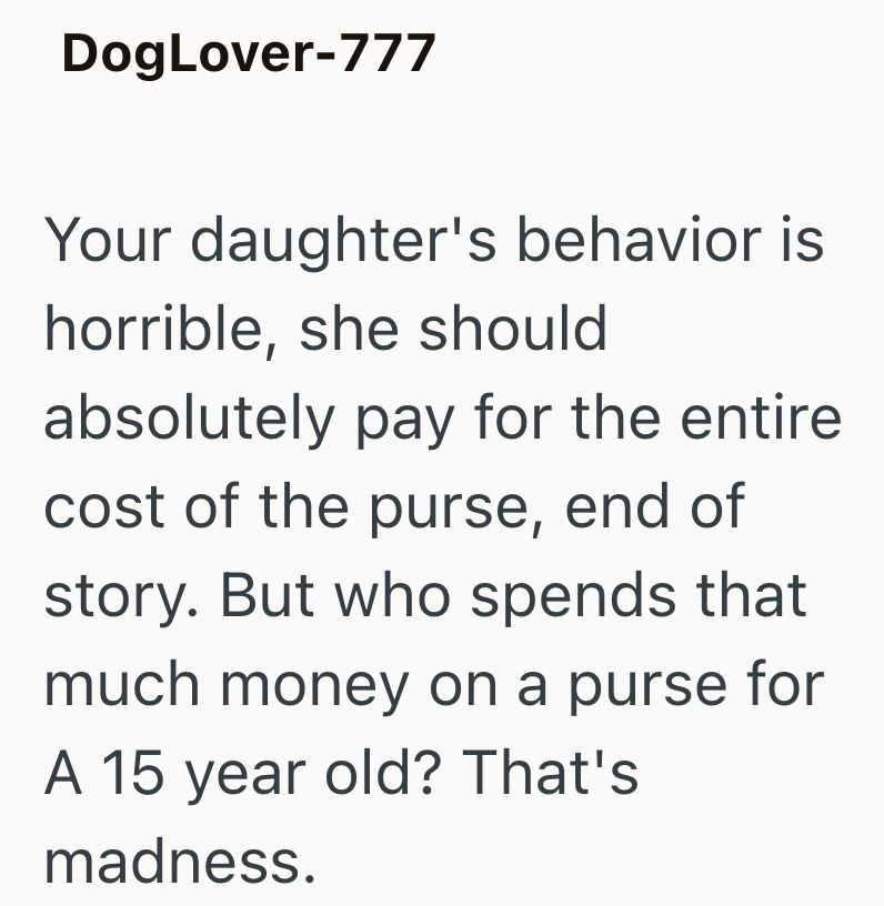 DogLover-777 Your daughter's behavior is horrible, she should absolutely pay for the entire cost of the purse, end of story. But who spends that much money on a purse for A 15 year old? That's madness.