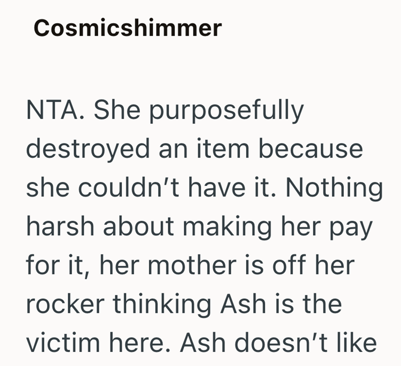Cosmicshimmer NTA. She purposefully destroyed an item because she couldn't have it. Nothing harsh about making her pay for it, her mother is off her rocker thinking Ash is the victim here. Ash doesn't like