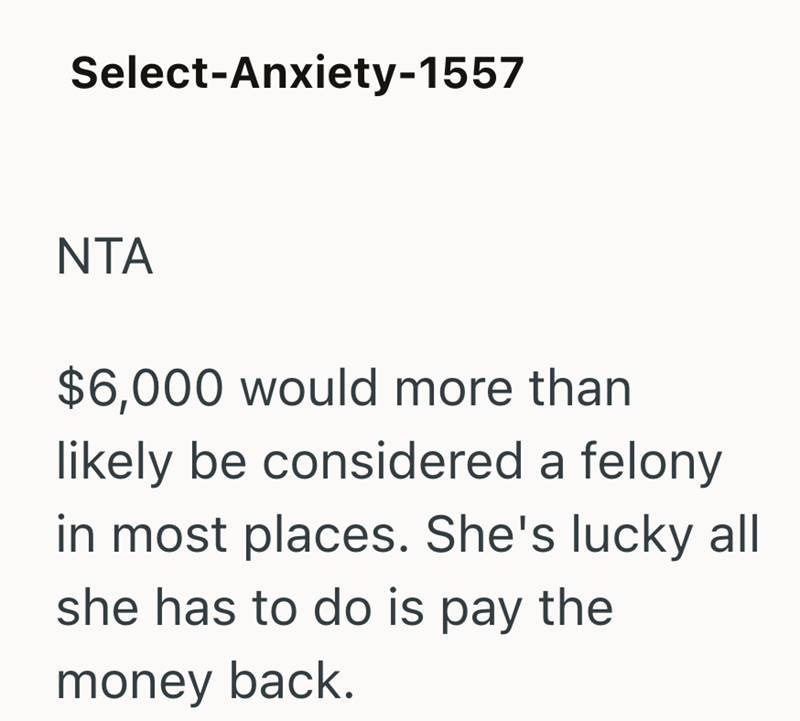 Select-Anxiety-1557 NTA $6,000 would more than likely be considered a felony in most places. She's lucky all she has to do is pay the money back.