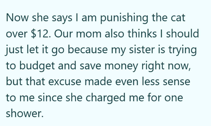 Now she says I am punishing the cat over $12. Our mom also thinks I should just let it go because my sister is trying to budget and save money right now, but that excuse made even less sense to me since she charged me for one shower.