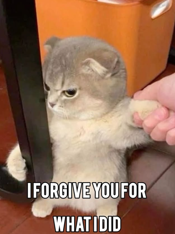 I FORGIVE YOU FOR WHAT IDID
