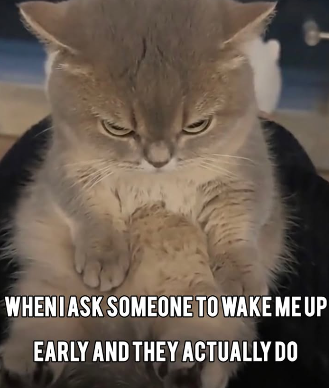 WHENI ASK SOMEONE TO WAKE ME UP EARLY AND THEY ACTUALLY DO
