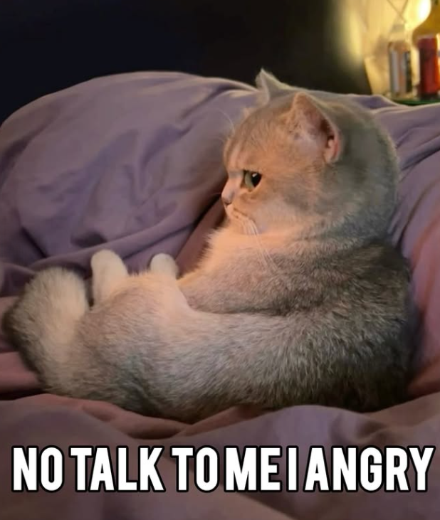 NO TALK TO MEIANGRY