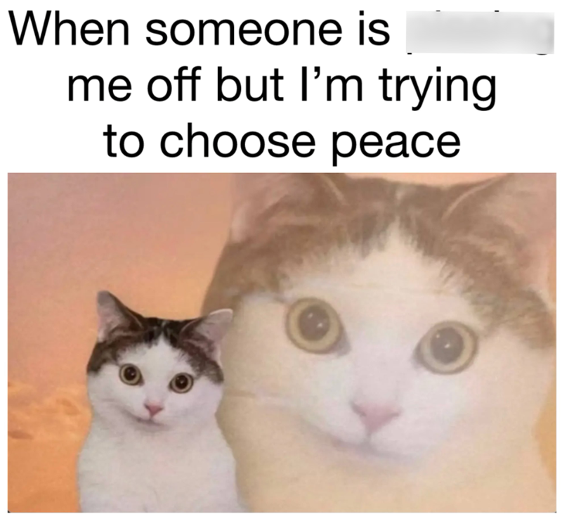When someone is me off but I'm trying to choose peace