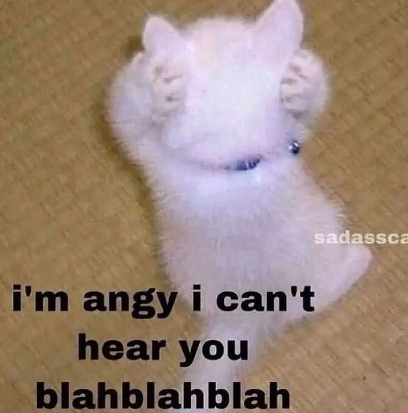 i'm angy i can't hear you blahblahblah sadassca