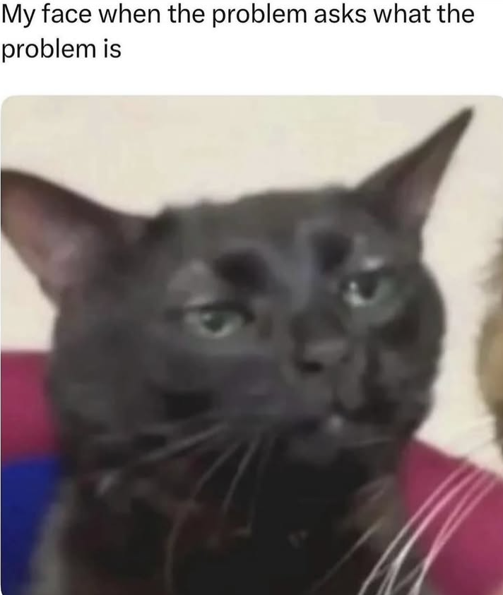 My face when the problem asks what the problem is