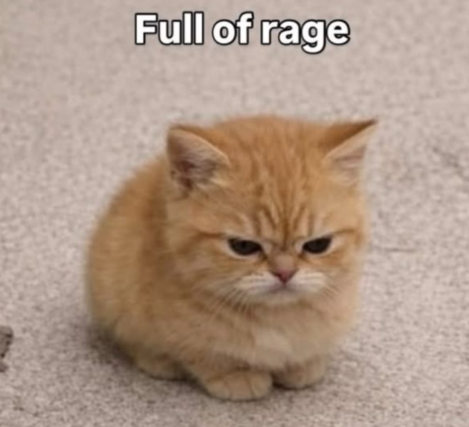 Full of rage