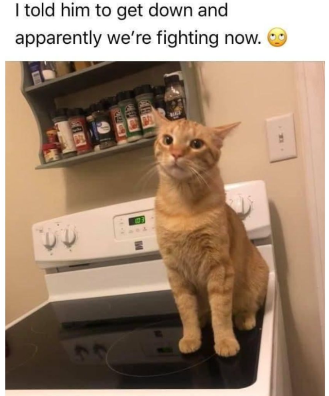 I told him to get down and apparently we're fighting now. 844458 103