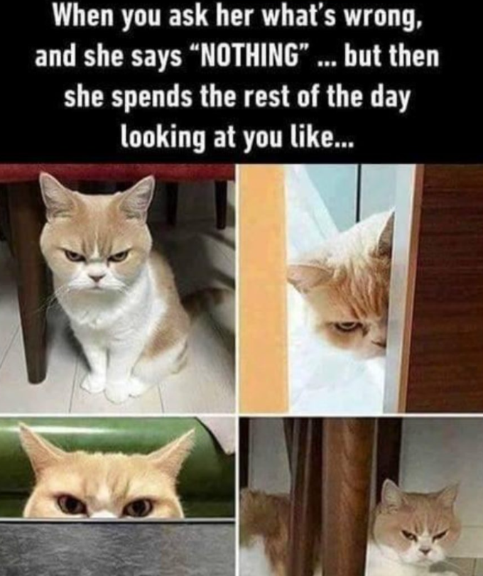 When you ask her what's wrong, and she says "NOTHING"... but then she spends the rest of the day looking at you like...