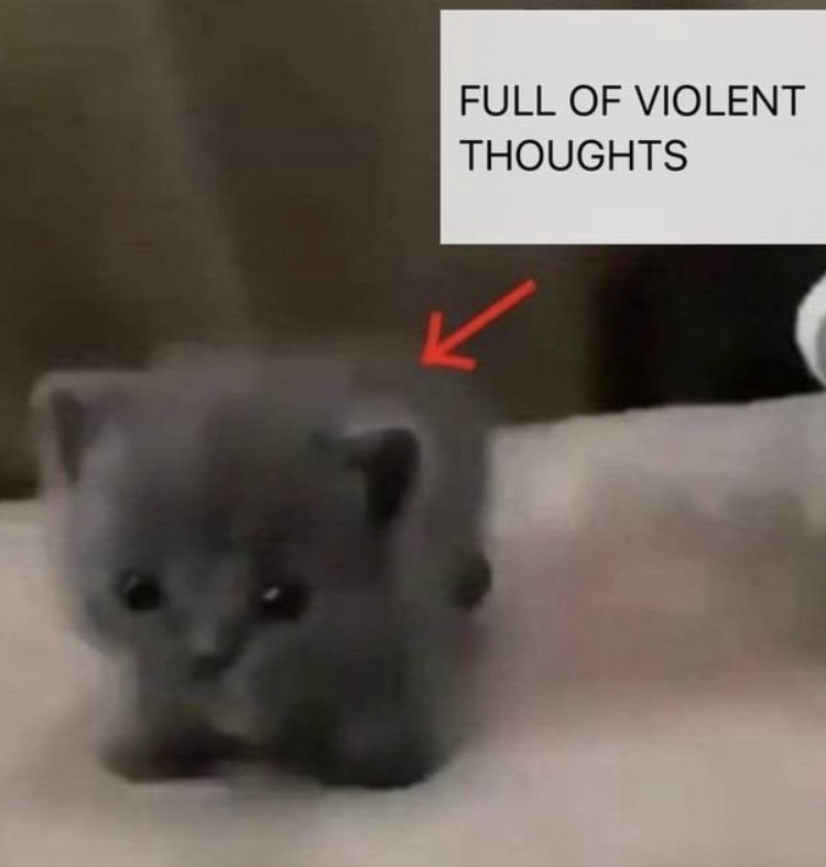 FULL OF VIOLENT THOUGHTS