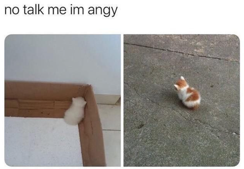 no talk me im angy 20