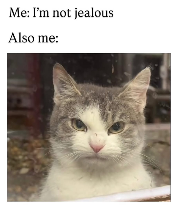 Me: I'm not jealous Also me:
