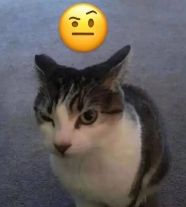 •。