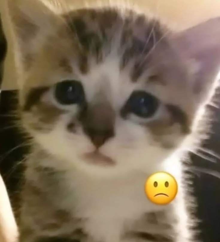 ):