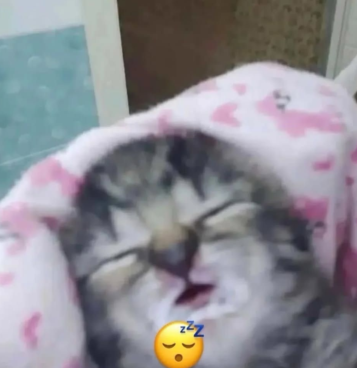 Zzz