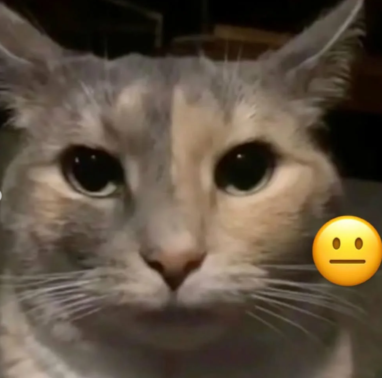 :|