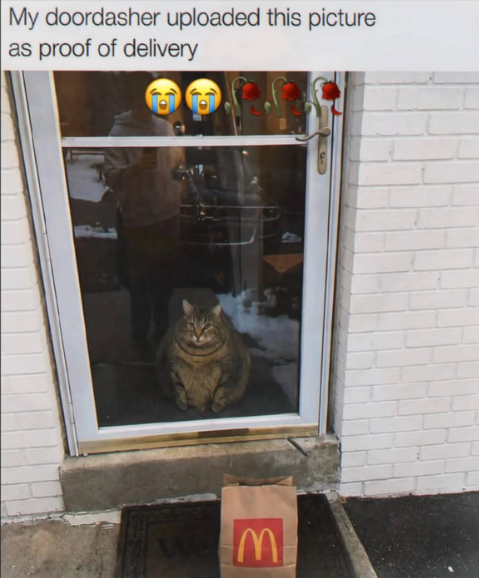 3 My doordasher uploaded this picture as proof of delivery