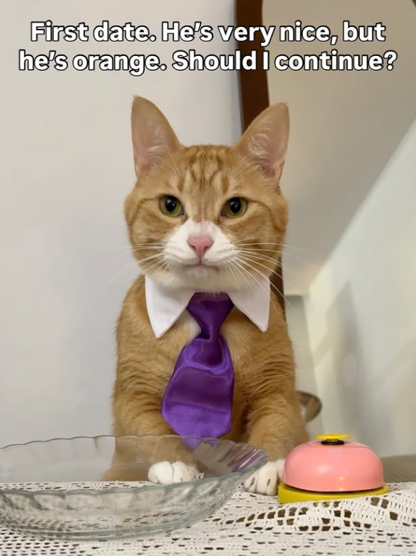 First date. He's very nice, but he's orange. Should I continue?