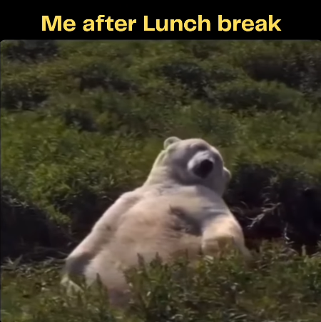 Me after Lunch break
