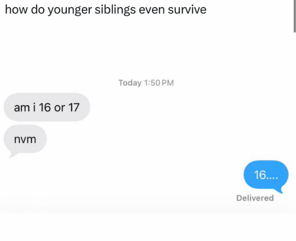 how do younger siblings even survive am i 16 or 17 Today 1:50 PM nvm 16.... Delivered