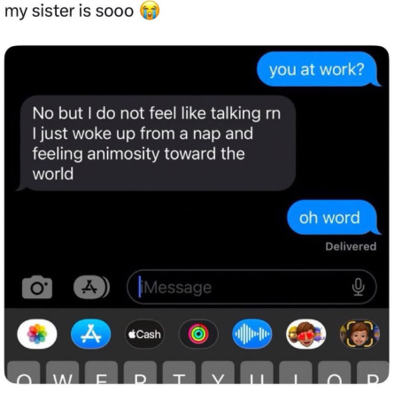 my sister is sooo you at work? No but I do not feel like talking rn I just woke up from a nap and feeling animosity toward the world Ο A Message Cash oh word Delivered رف W Ε D T D