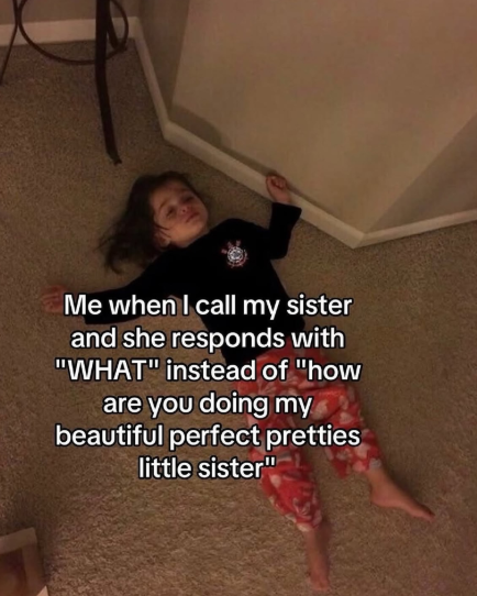 Me when I call my sister and she responds with "WHAT" instead of "how are you doing my beautiful perfect pretties little sister"