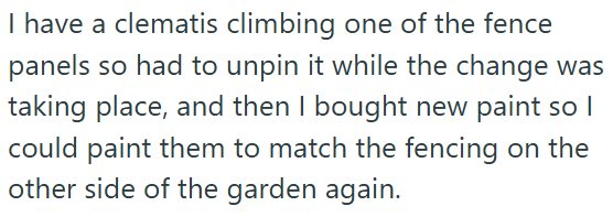 I have a clematis climbing one of the fence panels so had to unpin it while the change was taking place, and then I bought new paint so I could paint them to match the fencing on the other side of the garden again.