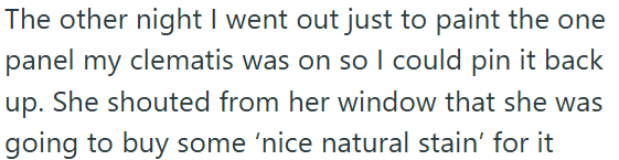 The other night I went out just to paint the one panel my clematis was on so I could pin it back up. going to buy some 'nice natural stain' for it She shouted from her window that she was