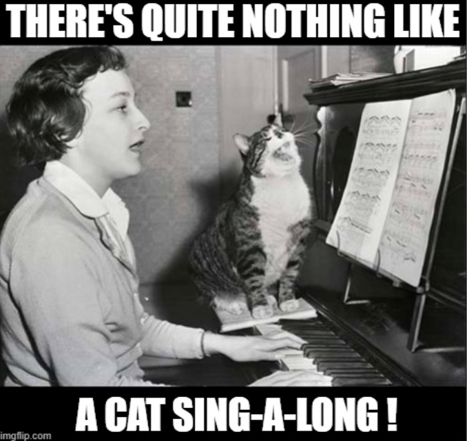 THERE'S QUITE NOTHING LIKE imgflip.com A CAT SING-A-LONG!