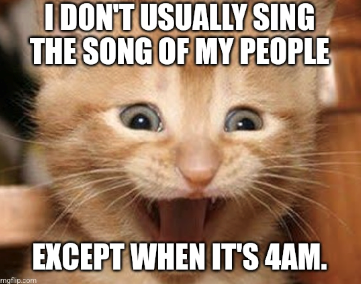 I DON'T USUALLY SING THE SONG OF MY PEOPLE mgflip.com EXCEPT WHEN IT'S 4AM.