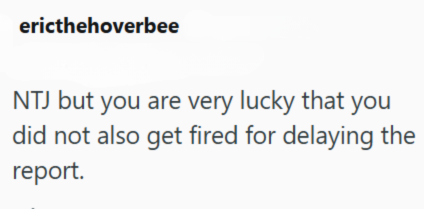 ericthehoverbee NTJ but you are very lucky that you did not also get fired for delaying the report.